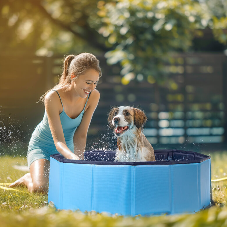 Nobleza Piscina plegable para Perros Grandes y Pequeños, , large image number null